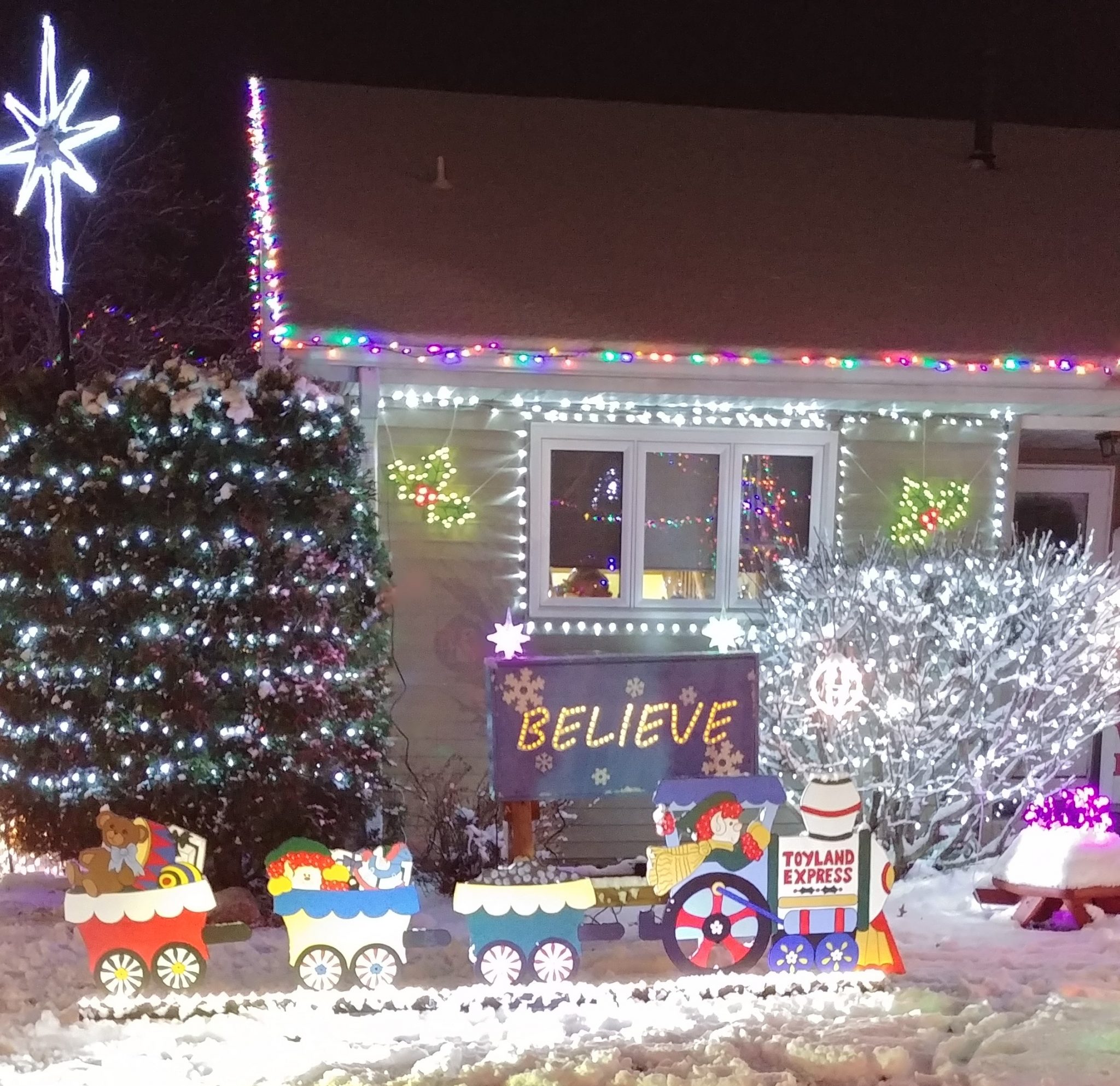 2019 Minnesota Holiday Lights Display Guide » Give Me The Mike